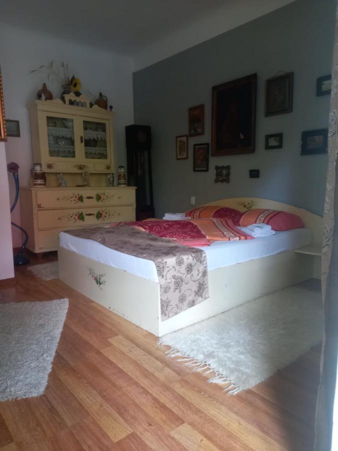 Casa Elena Apartamento Sighişoara Exterior foto